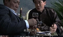 电视剧 潜伏 在线观看,谍影重重，智斗风云